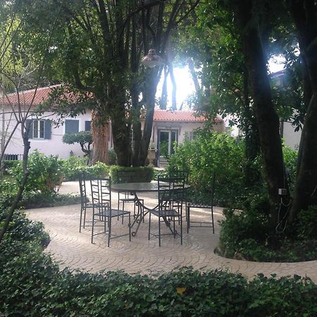 วิลลา อับบาแมร์ Bed & Breakfast โกรตาเฟราตา ภายนอก รูปภาพ